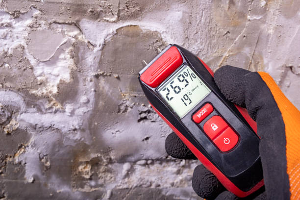 Best Crawl Space Mold Removal  in Liverpool, NY